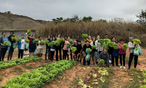 Horta comunitária do bairro Brasilândia realiza primeira colheita em Volta Redonda